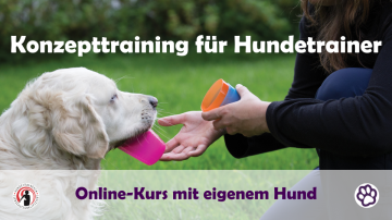 Konzepttraining
