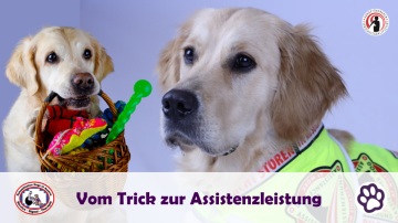 FB Titelbild HT Fortbildungen (6)