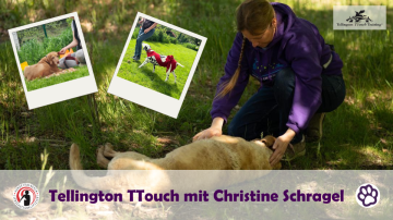 FB Titelbild HT Fortbildungen (3)