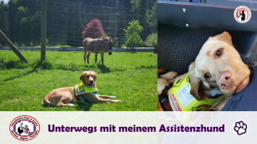 FB Titelbild HT Fortbildungen (10)