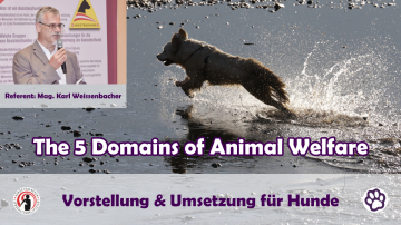 FB Titelbild HT Fortbildungen (14)