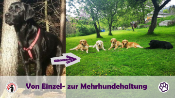 FB Titelbild HT Fortbildungen (20)