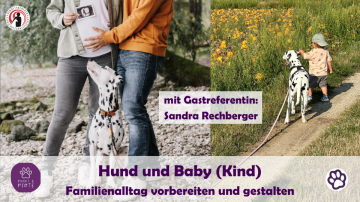 Hund und Baby - Kind