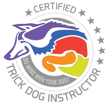 CTDI logo-head