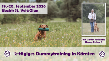2-t&auml;giges Dummytraining mit Ing. Gernot Sadovsky