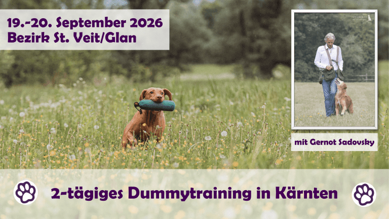 2-Tages Dummyworkshop mit Gernot Sadovsky