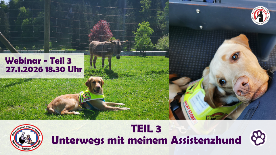 Unterwegs mit meinem Assistenzhund - AH Fortbildung