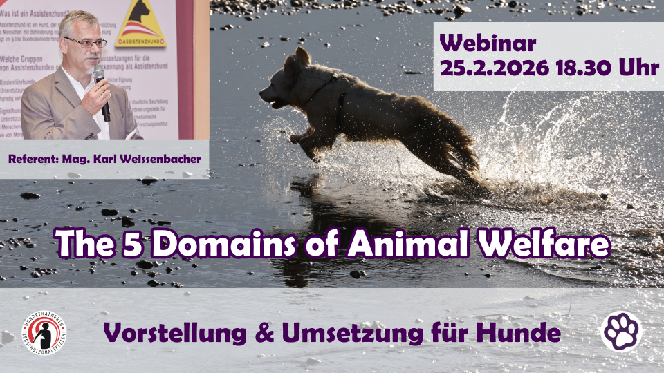 Fortbildung: 5 Domains of Animal Welfare mit Mag. Karl Weissenbacher