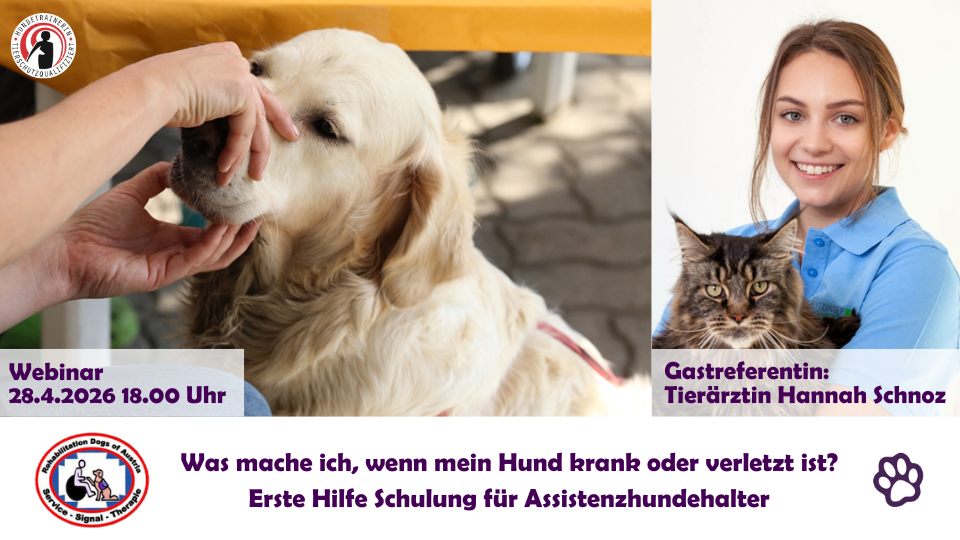 Erste Hilfe Schulung für Assistenzhundehalter mit Hannah Schnoz