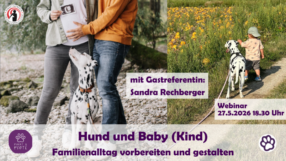 Hund und Baby (Kind) - Familienalltag vorbereiten und gestalten